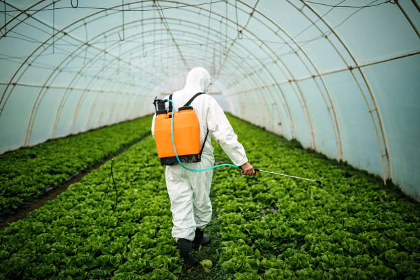 Best Pest Prevention Services  in East Peoria, IL