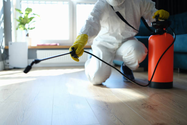 Wildlife Control Services in East Peoria, IL