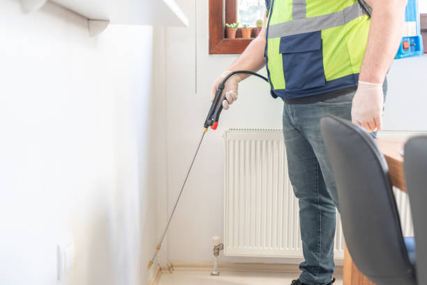 Best Local Pest Control Services  in East Peoria, IL