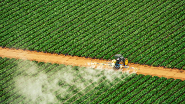 Professional Pest Control in East Peoria, IL