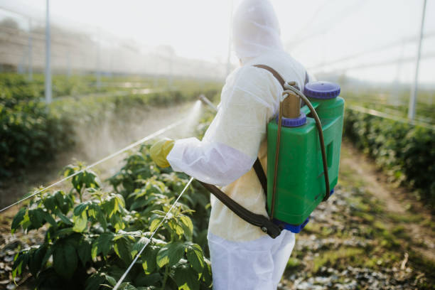 Best Cockroach Control Services  in East Peoria, IL